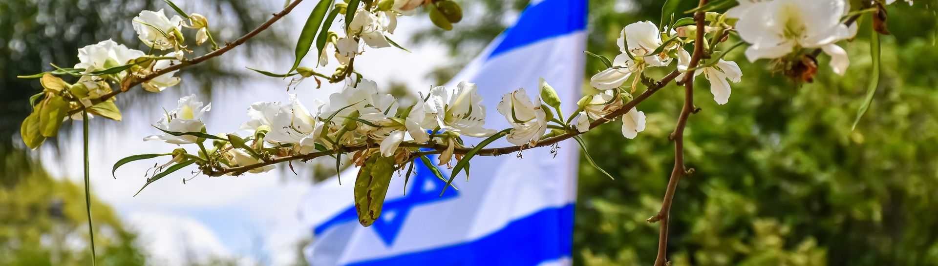 דילים בארץ לבחירות 2019