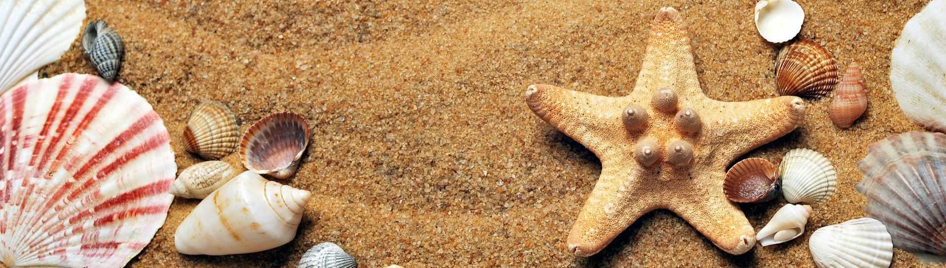 דילים מיוחדים