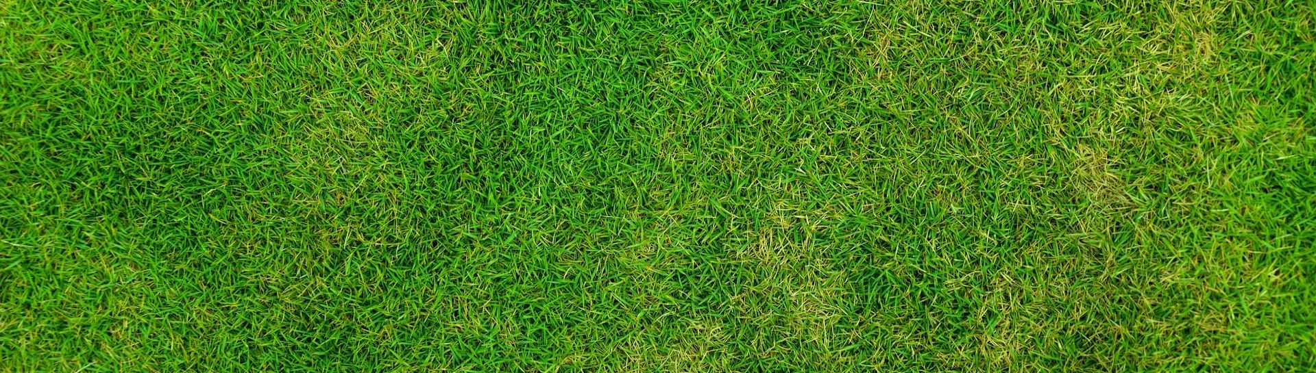 חבילות ספורט - ליגת האלופות