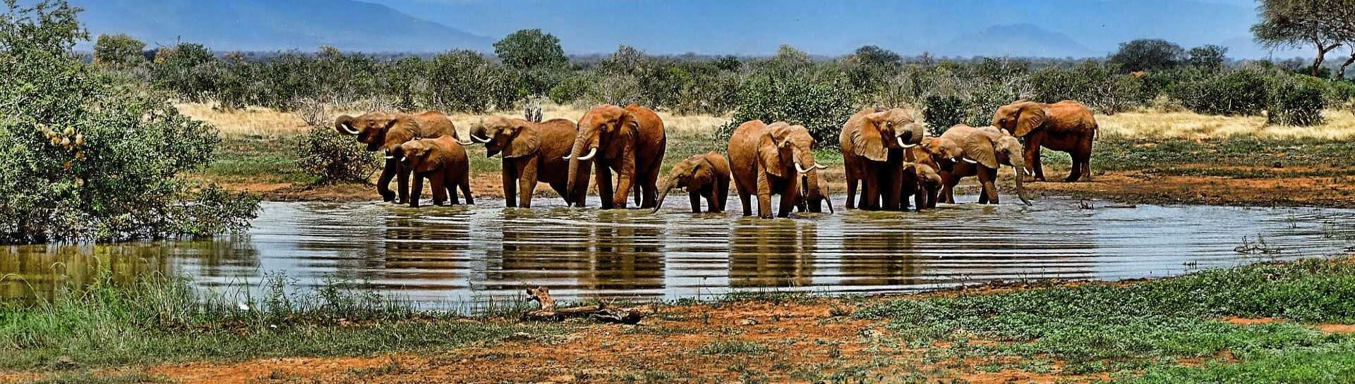 טיסות לדרום אפריקה