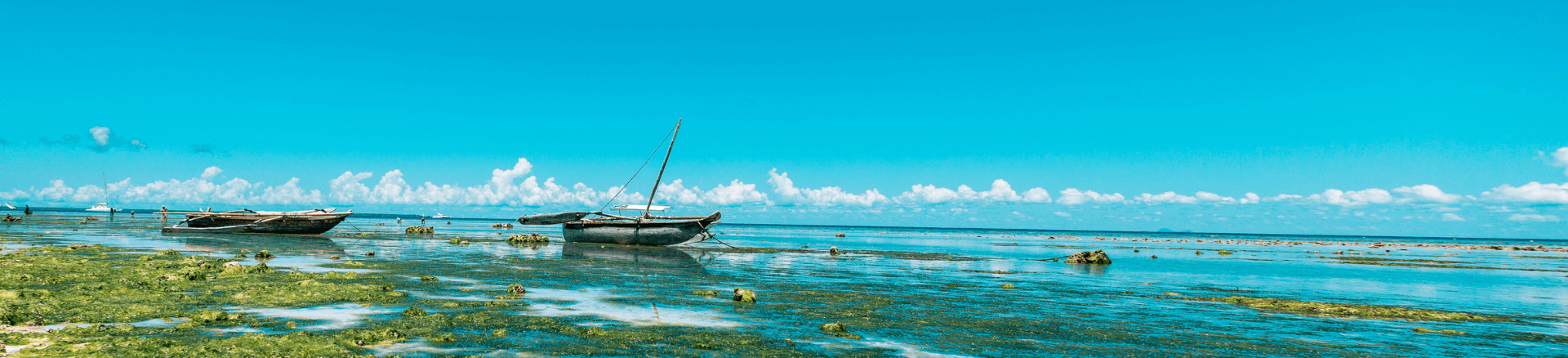 טיול מאורגן לאפריקה
