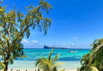 דילים למאוריציוס