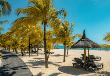 דילים למאוריציוס