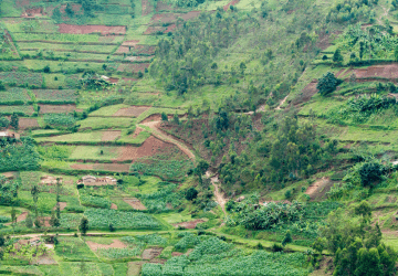 טיסות זולות לרואנדה