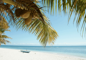 טיסה למדגסקר