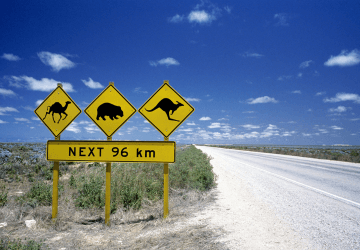 טיסה זולה לסידני