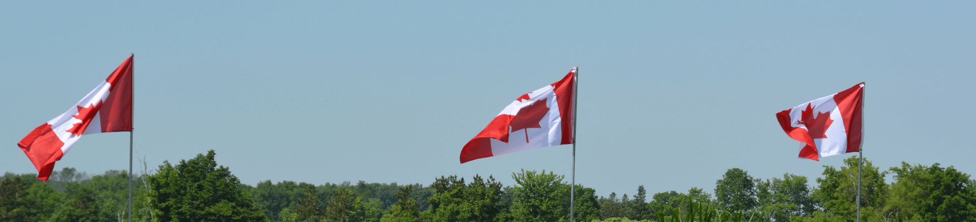 ויזות לקנדה