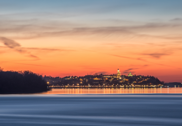 מאורגן לבלגרד