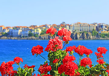 דילים לבורגס דילים לבורגס