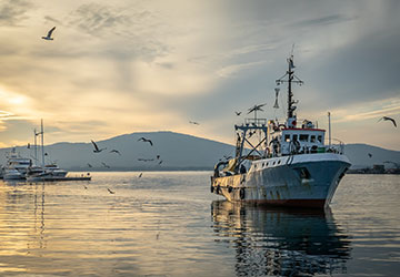 דיל זול לבורגס