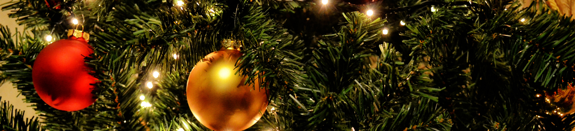 שווקי חג המולד