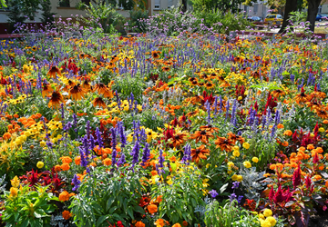 טיסות לדברצן טיסות לדברצן