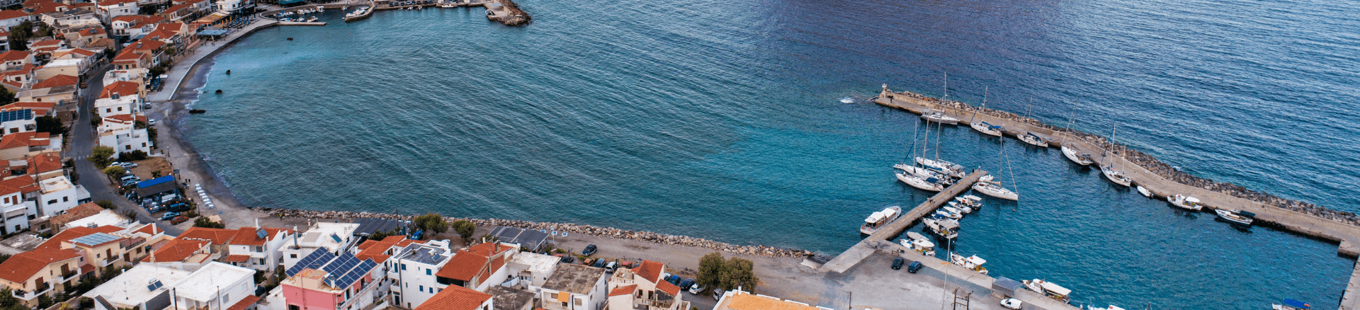 דילים לפלופונס