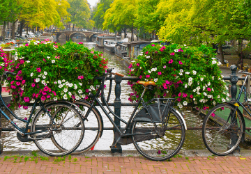 אופניים בתעלות אמסטרדם