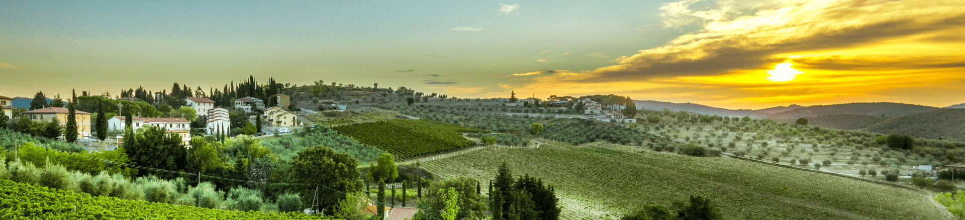 טיול מאורגן לאיטליה