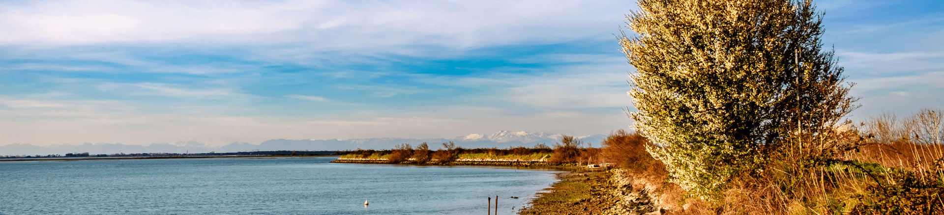 דילים לגראדו