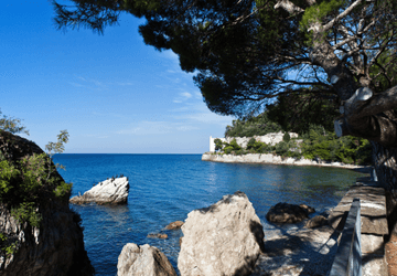 מאורגנים לצפון איטליה