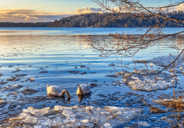 טיסות לשטוקהולם טיסות לשטוקהולם