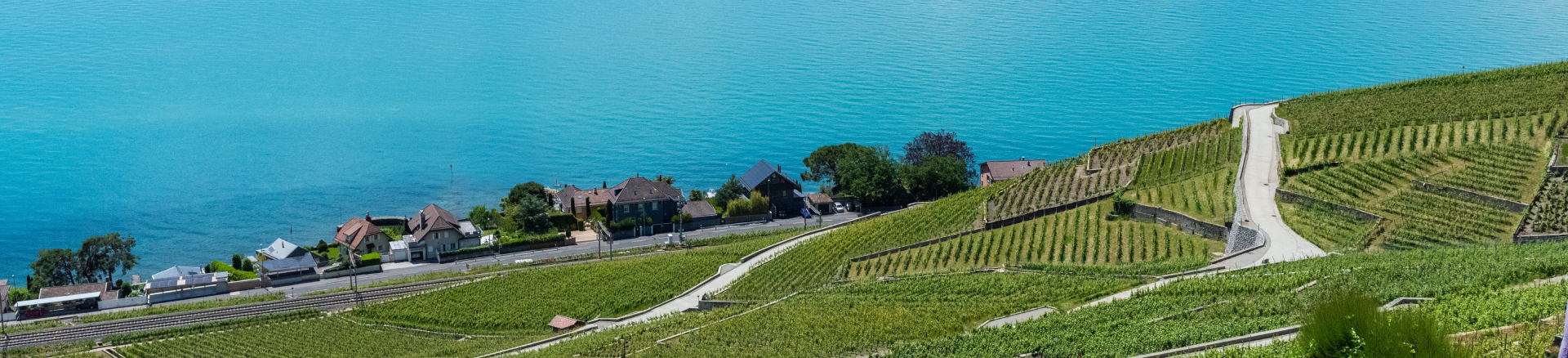 טיסות לשוויץ