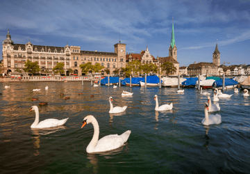 טיסות לציריך טיסות לציריך