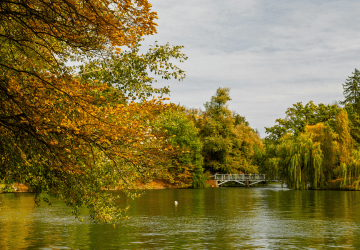 טיסות לאומן