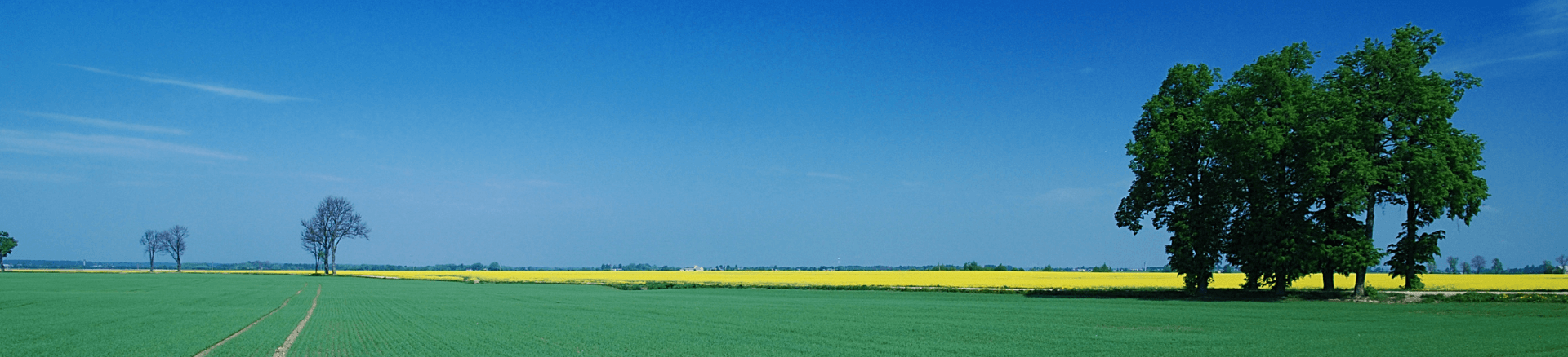 טיסות לליטא