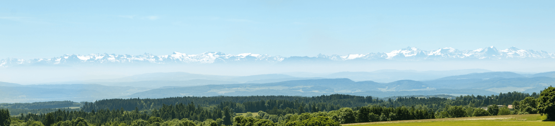 טיול מאורגן ליער השחור