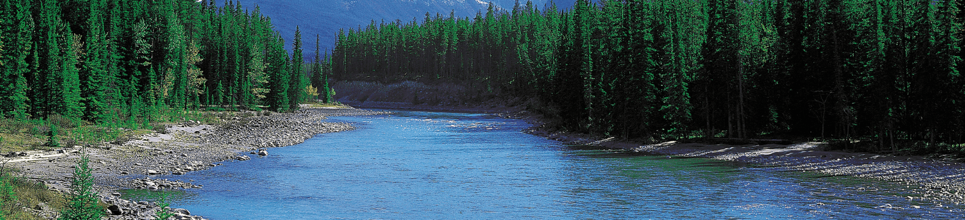 שייט עצמאי באירלנד