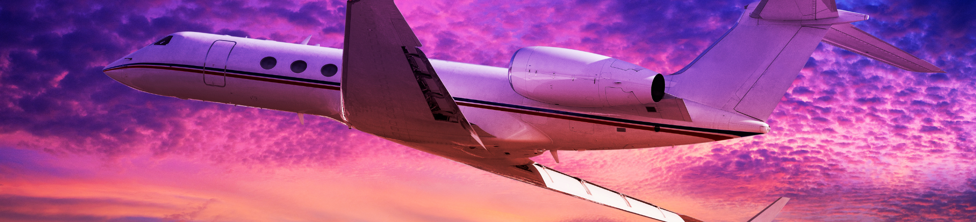 טיסות פרטיות