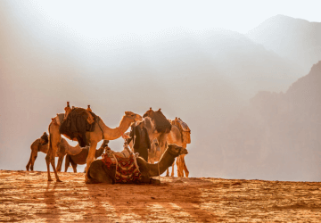 טיסות לירדן