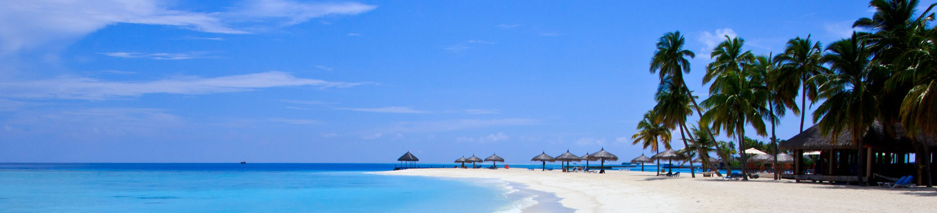 טיול מאורגן לסרי לנקה