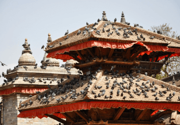 טיסות לקטמנדו