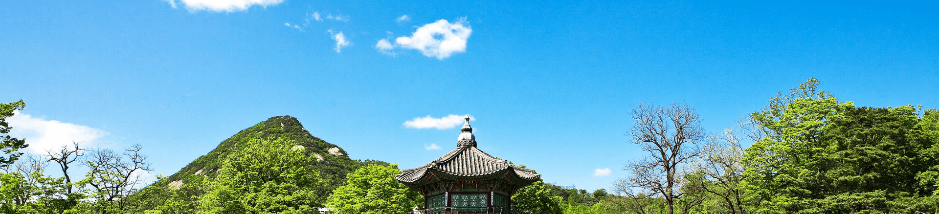 טיסות לדרום קוריאה