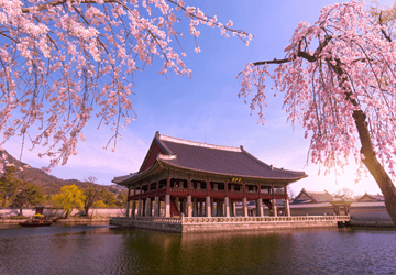 מאורגן לדרום קוריאה