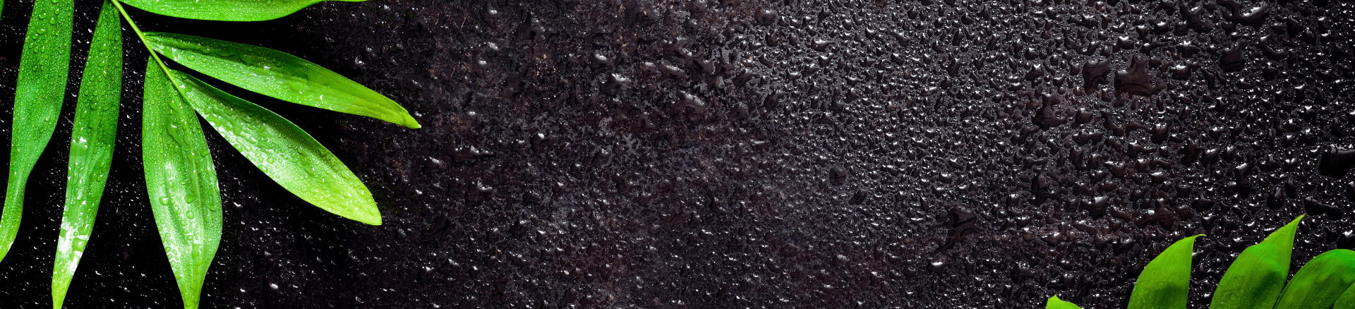 חבילות ספא לאוסטריה