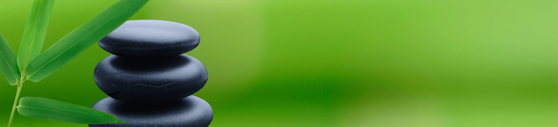 חבילות ספא לפישטני - סלובקיה