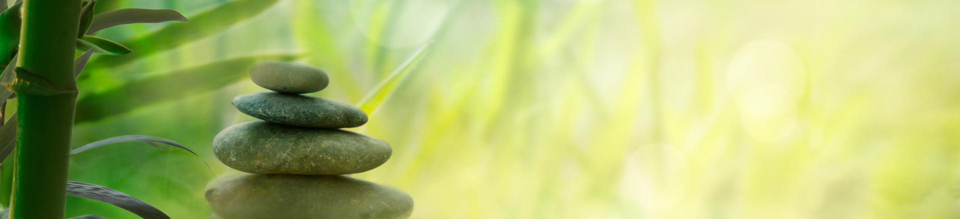 חבילות ספא בוילנגרד בולגריה