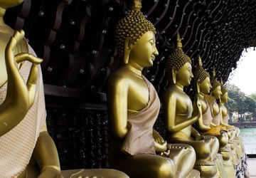 טיולים מאורגנים לסרי לנקה