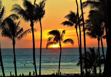 טיסה הוואי ארה