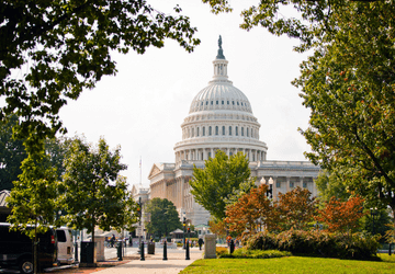 מאורגן לארה