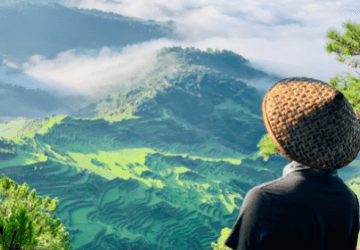 מאורגנים לפיליפינים