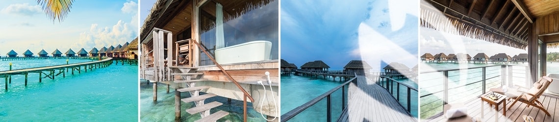 קלאב מד קאני