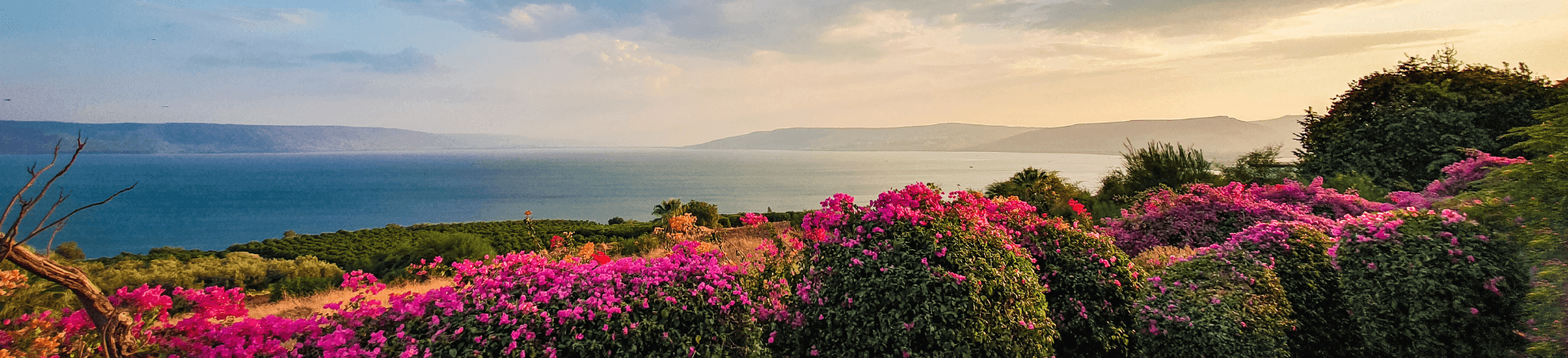 חופשה בישראל בשבועות